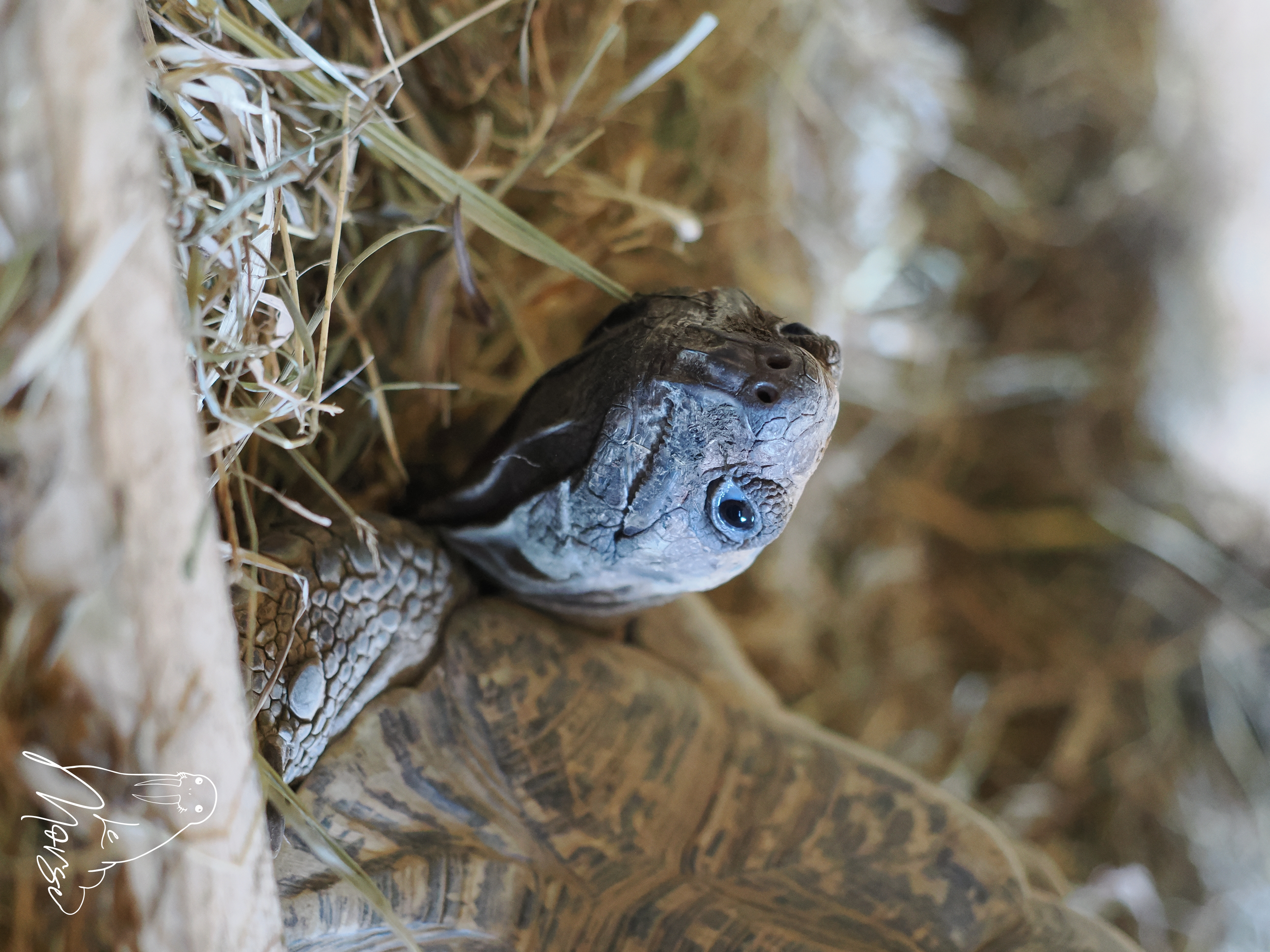 Couverture — Numéro 2024/1