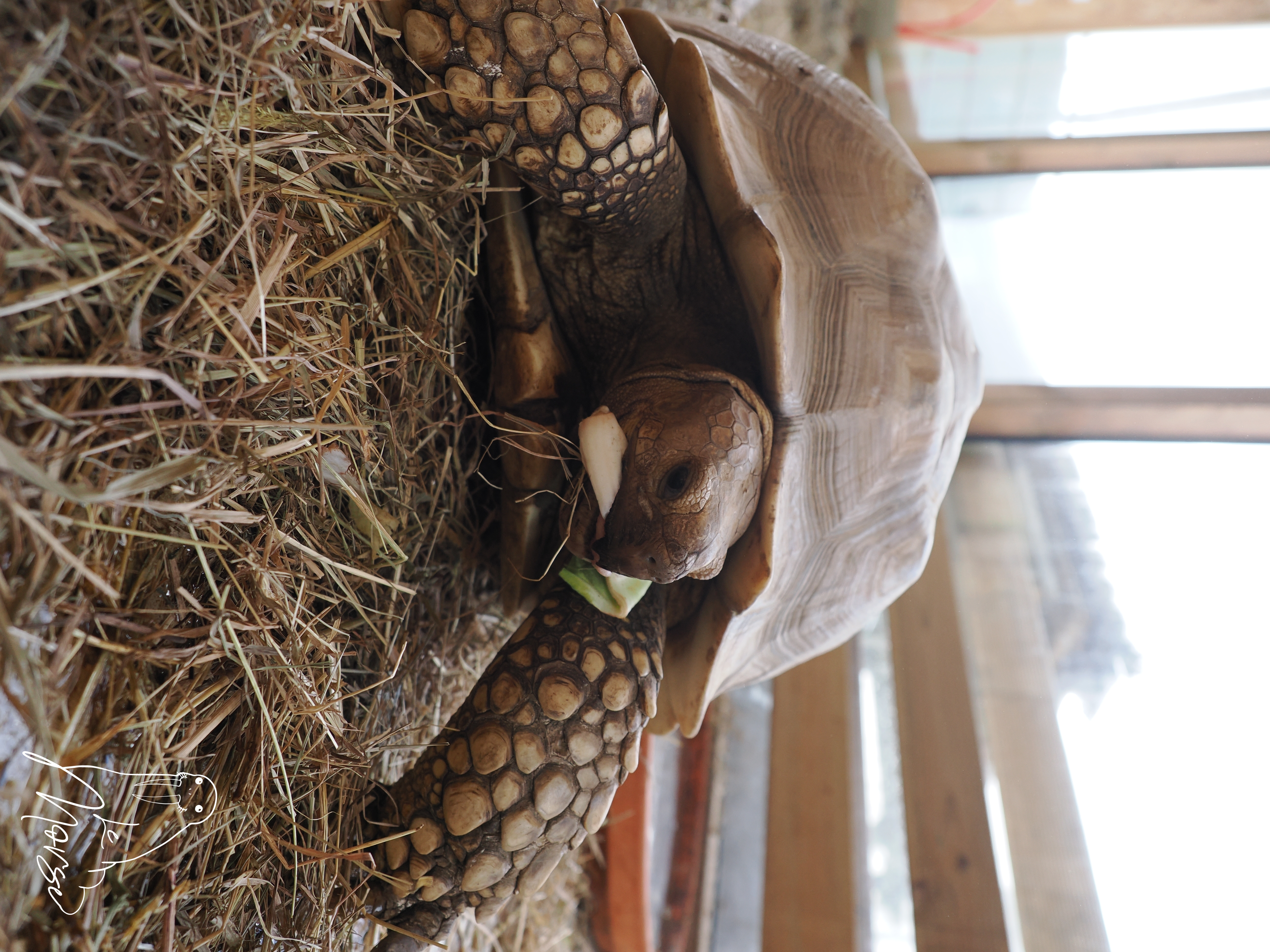 Couverture — Numéro 2024/2